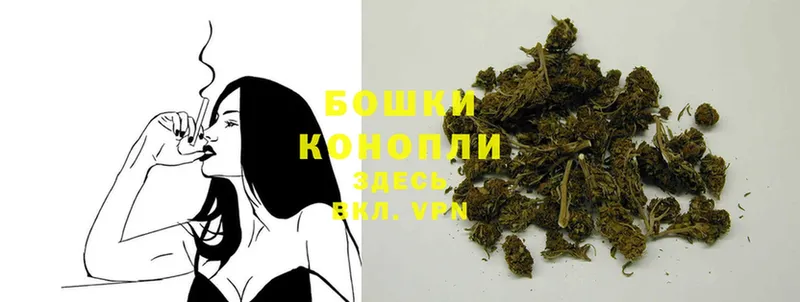 Марихуана White Widow  mega как войти  Избербаш 